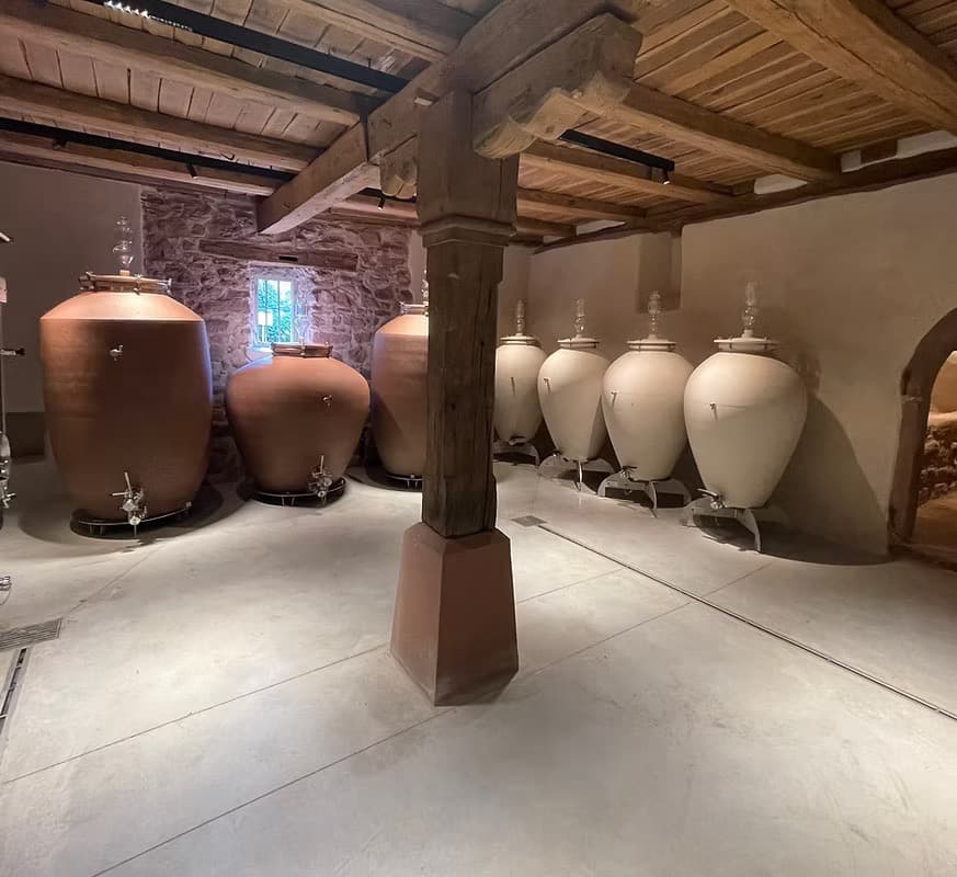 Reichsfeld, un village discret qui impose une vraie lecture du terroir